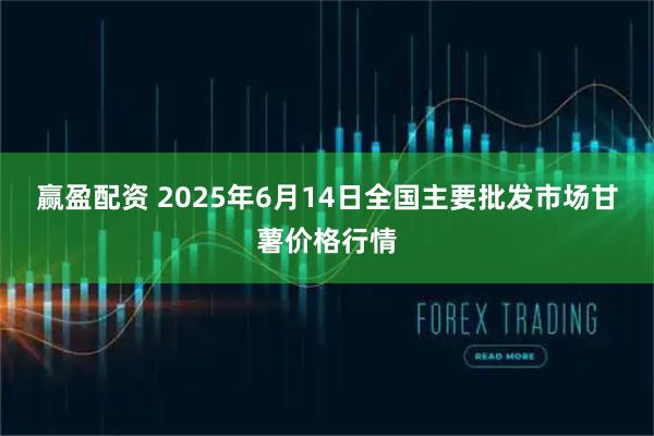 赢盈配资 2025年6月14日全国主要批发市场甘薯价格行情